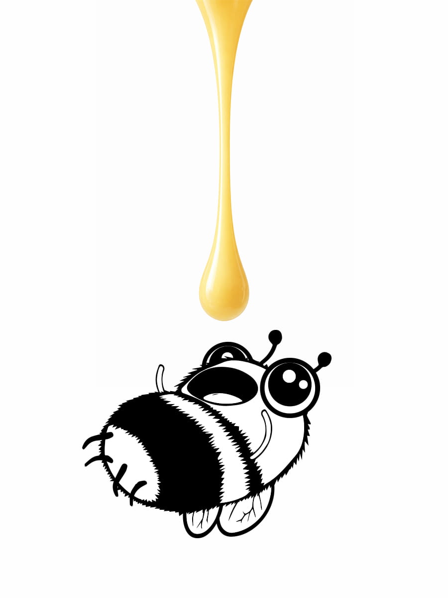 honig-konsitenz-honig-flip-biene